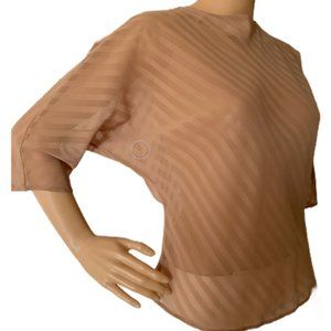 Vintage Sheer Nude Diagonal Stripe Blouse